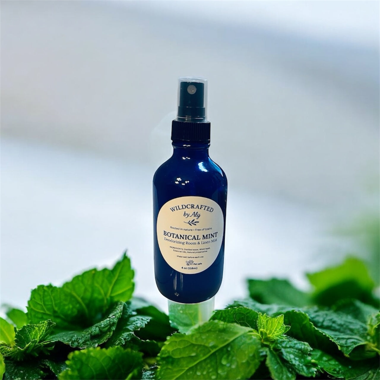 Botanical Mint Deodorizing Room & Linen Mist 4 oz.